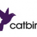 catbird